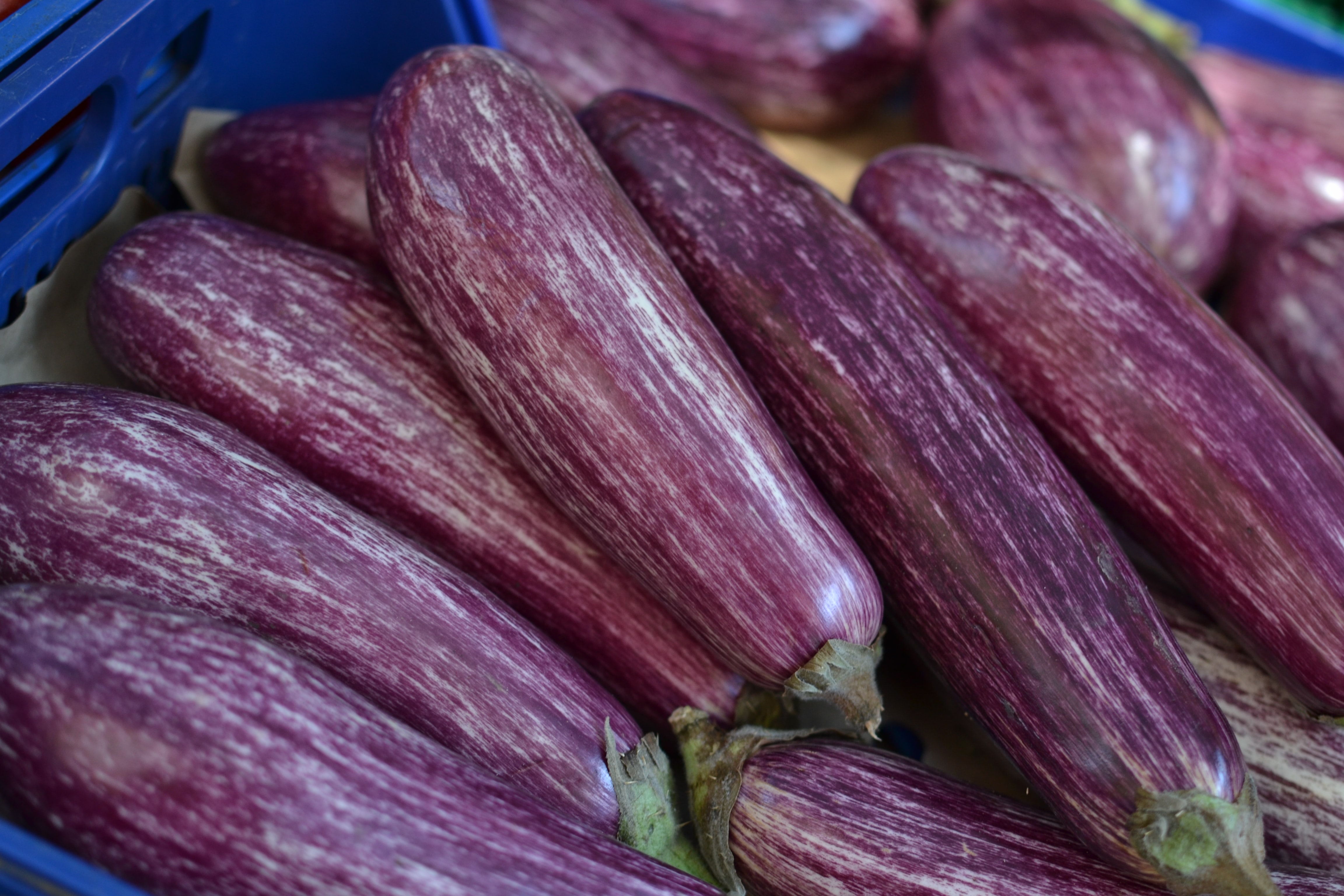 Eggplant Bacon