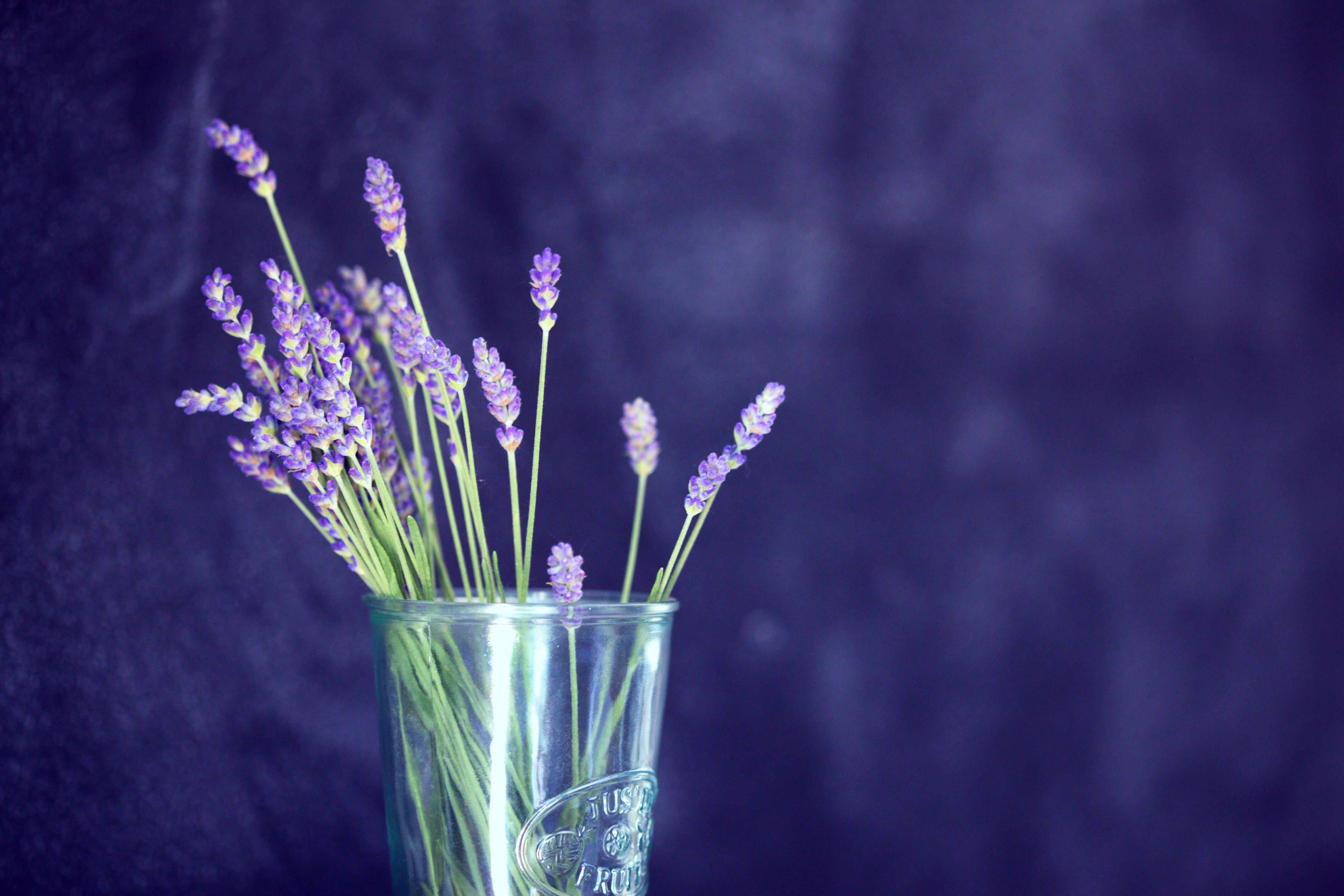 Lavender Sugar Syrup